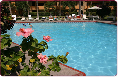 marina sol pool
